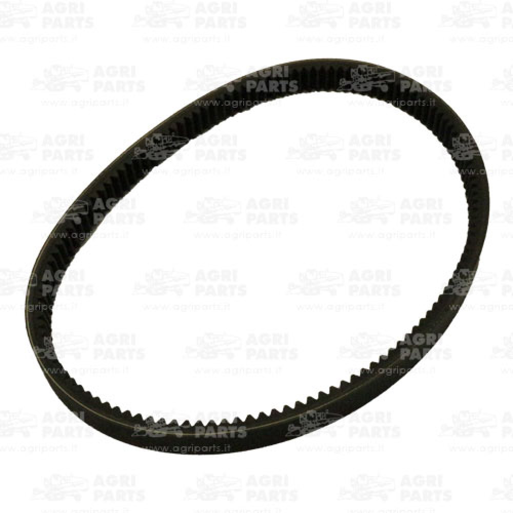 18AP012066 - CINGHIA - 18AP012066