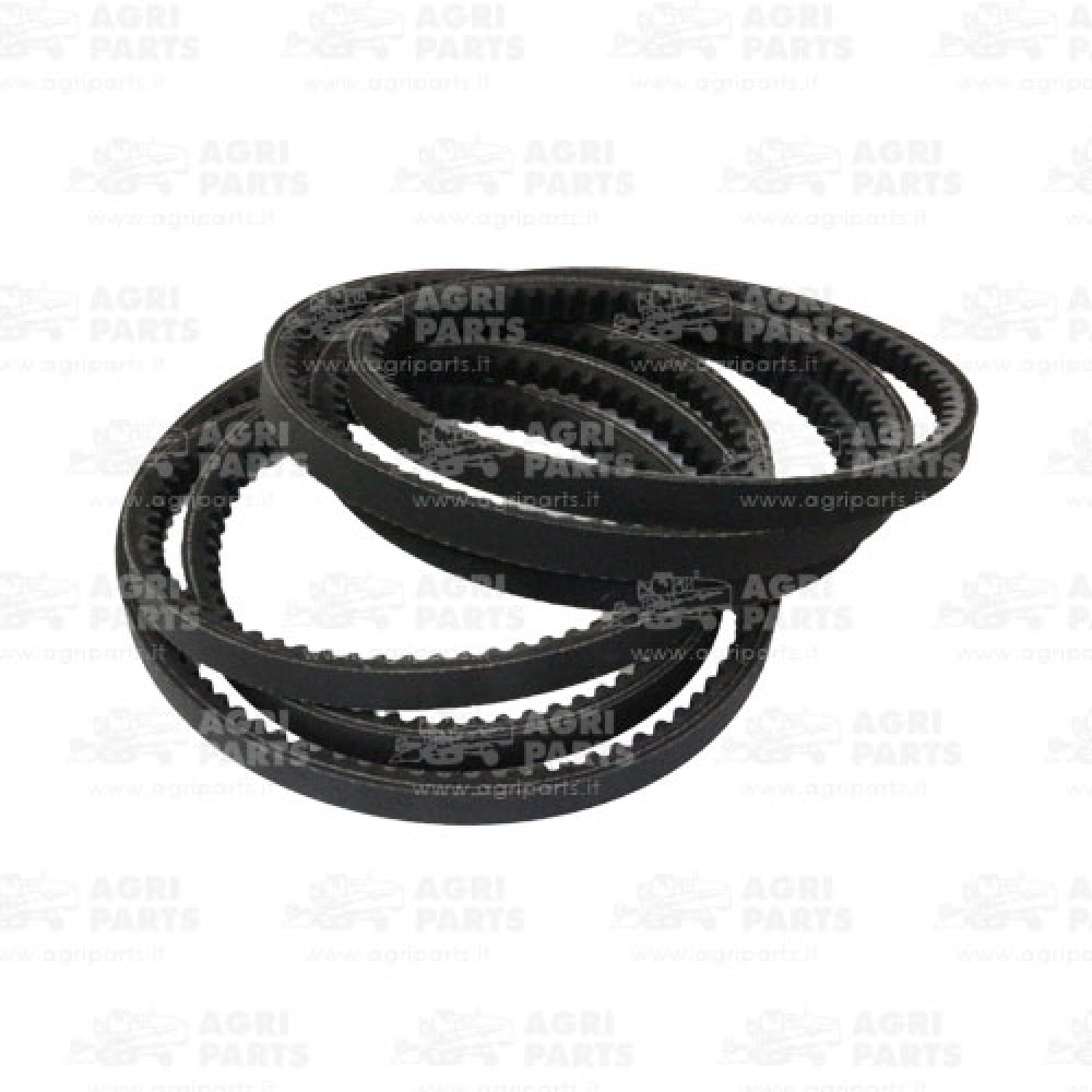 18AP012079 - SET CINGHIE - 18AP012079