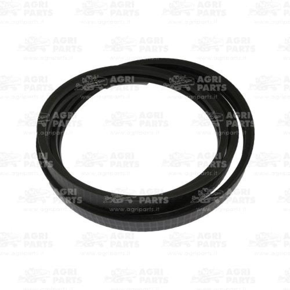 18AP012105 - CINGHIA - 18AP012105