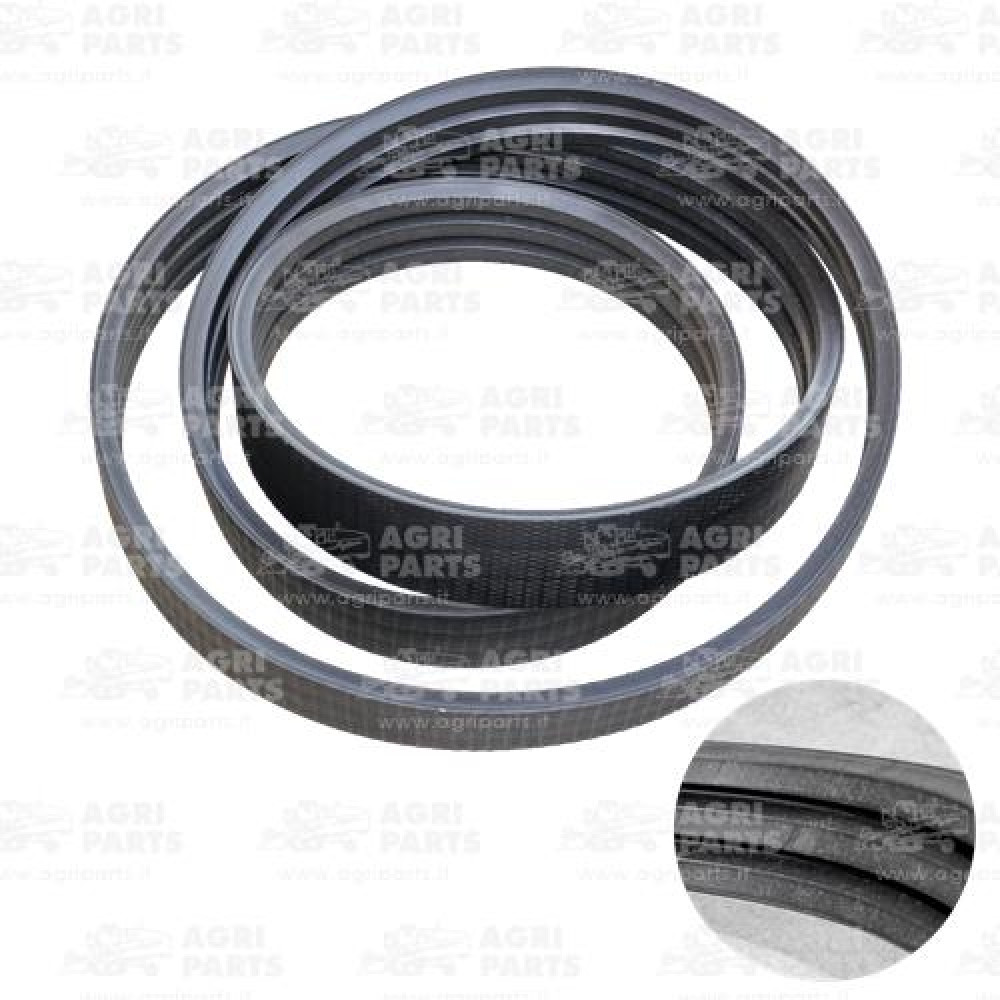 18AP012132 - CINGHIA - 18AP012132