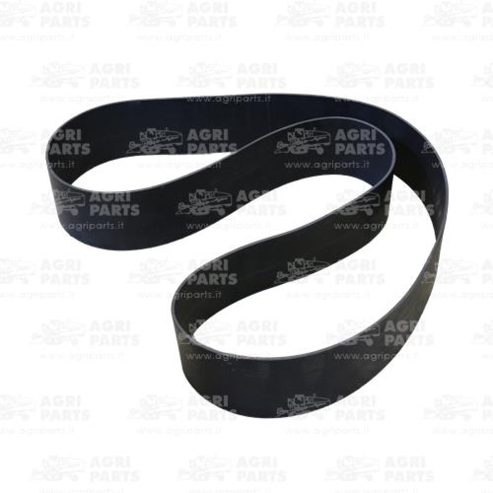 18AP012167 - CINGHIA PIATTA - 18AP012167