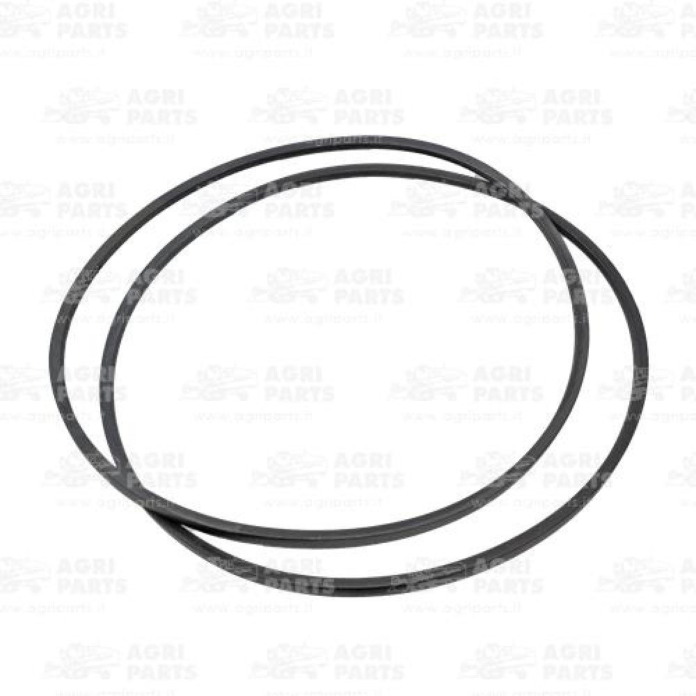 18AP012181 - COPPIA CINGHIE - 18AP012181