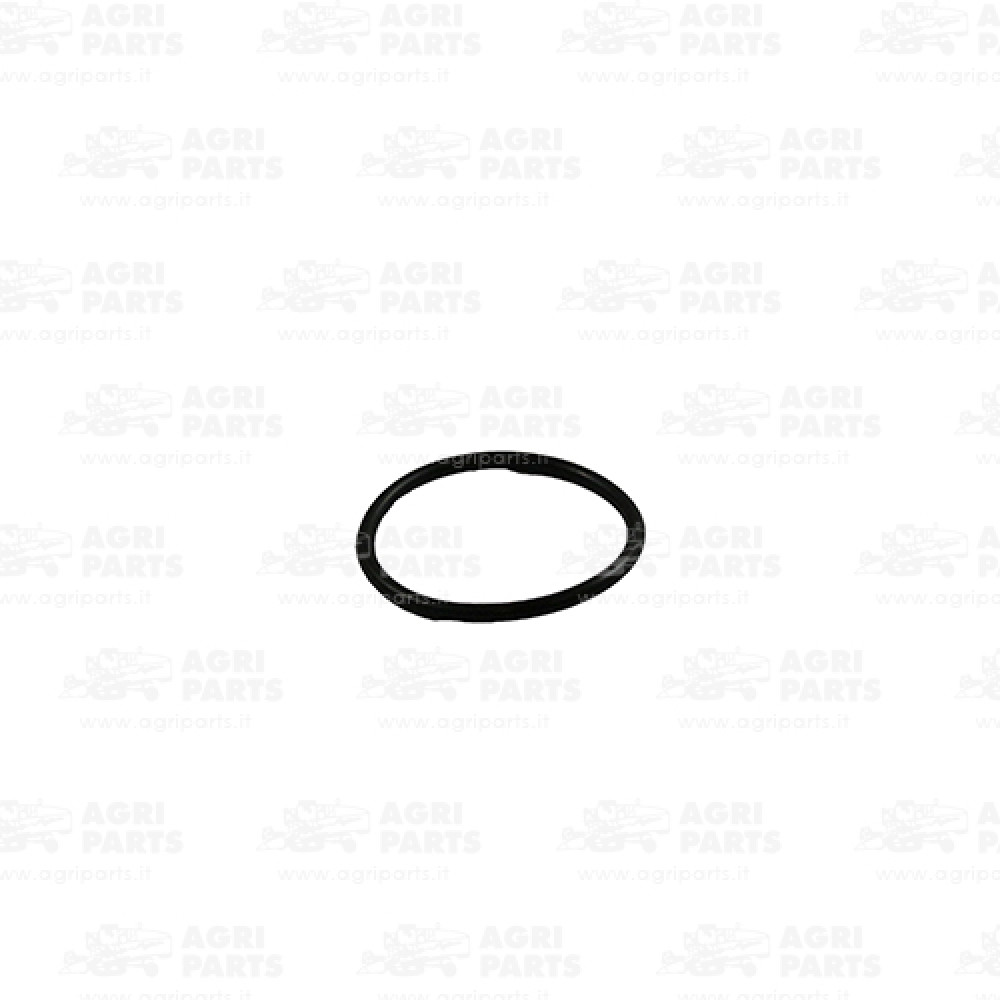 17289781 - O-RING - 17289781CNH