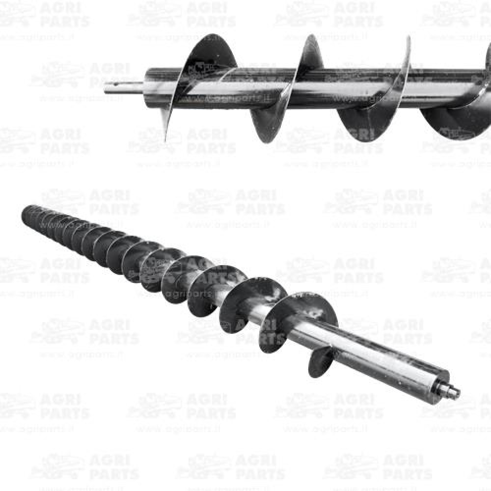 5416001 - SCHNECKE - 0005416001CL