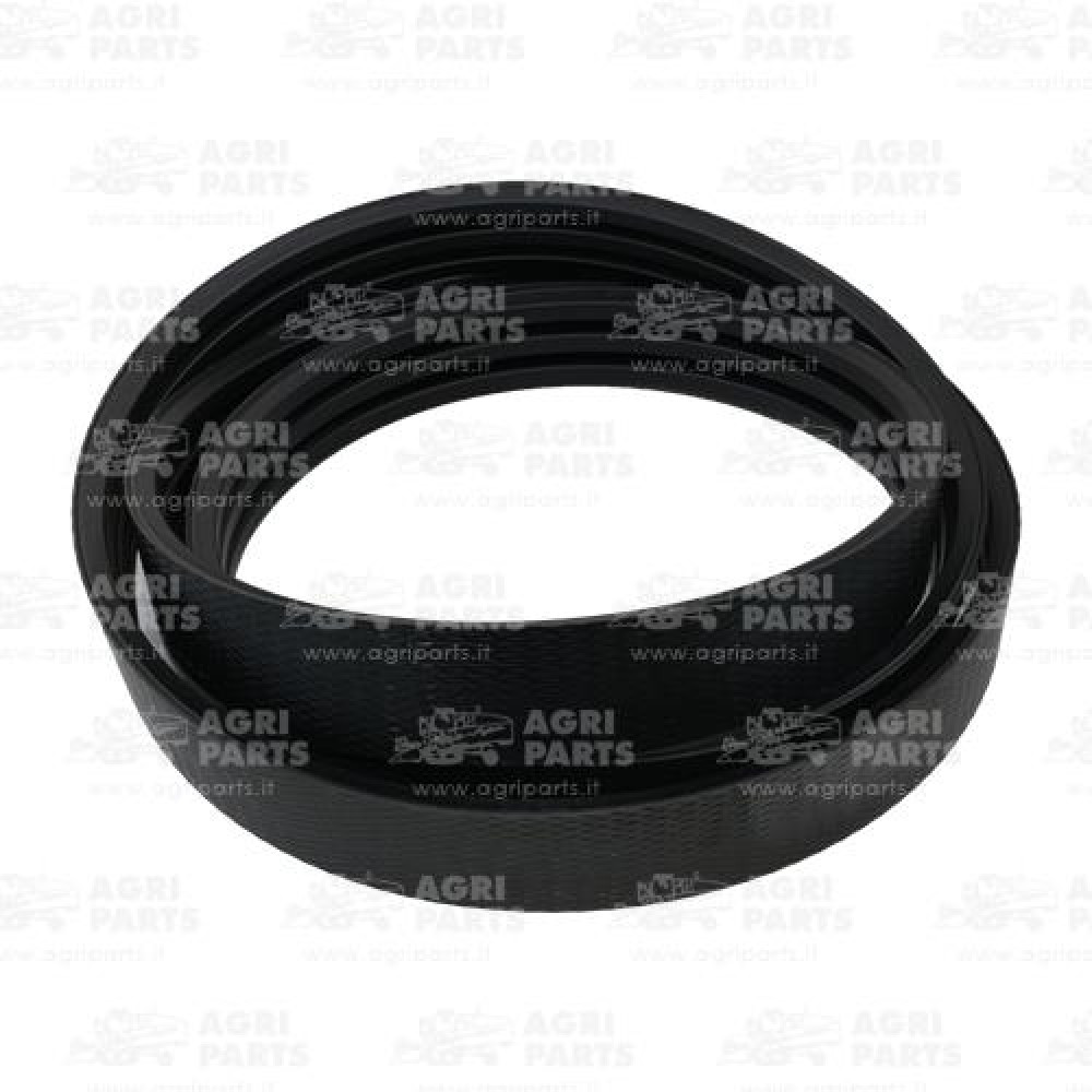 19AP012563 - CINGHIA - 19AP012563