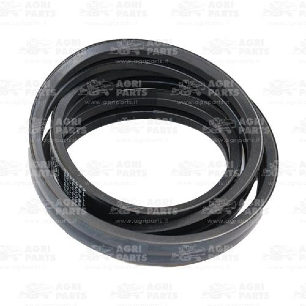 19AP012597 - RIEMEN - 19AP012597