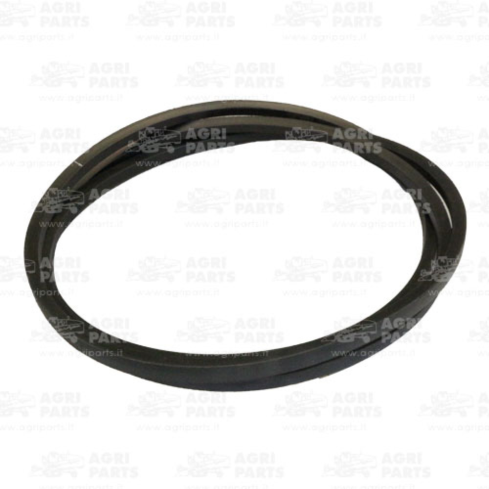 19AP012599 - CINGHIA - 19AP012599