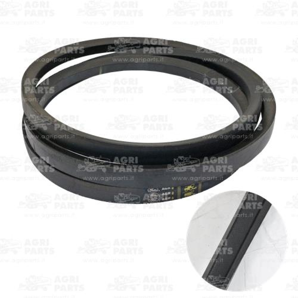 247430A1 - RIEMEN - 247430A1CNH