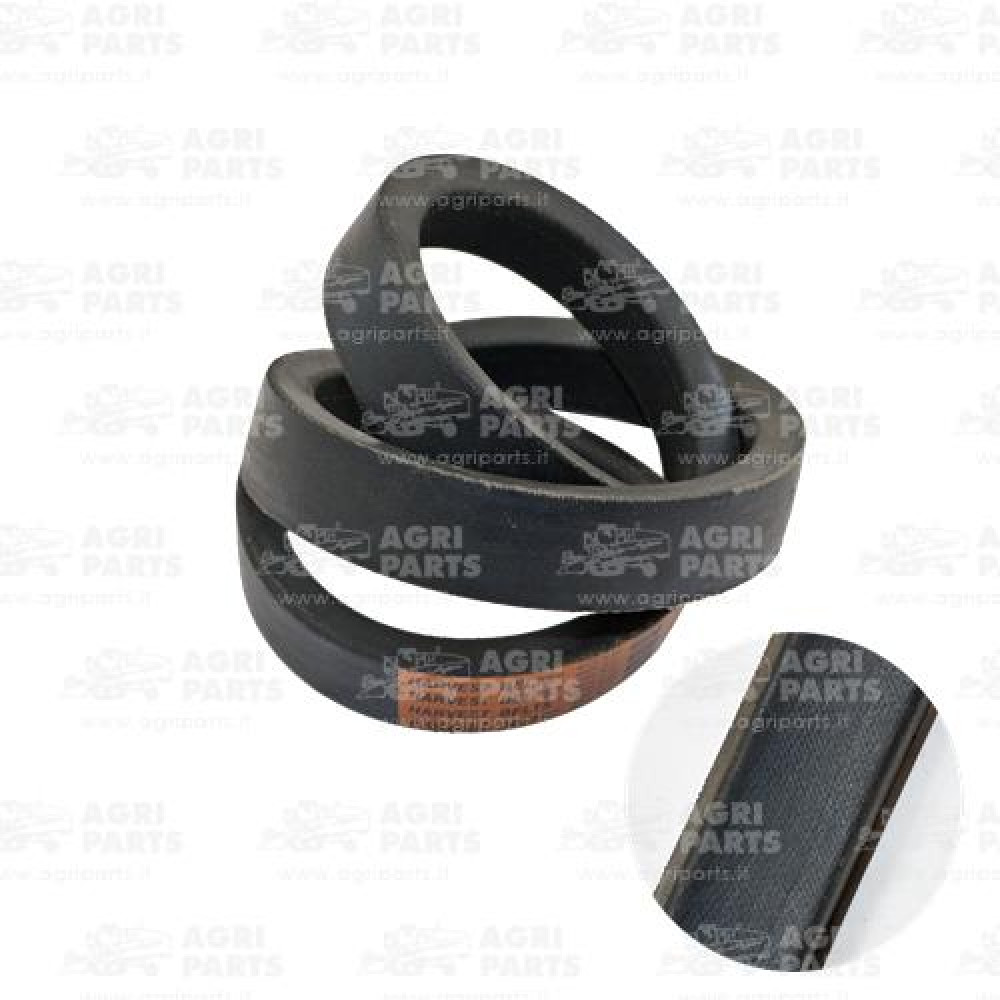 603720 - CINGHIA - 603720CNH