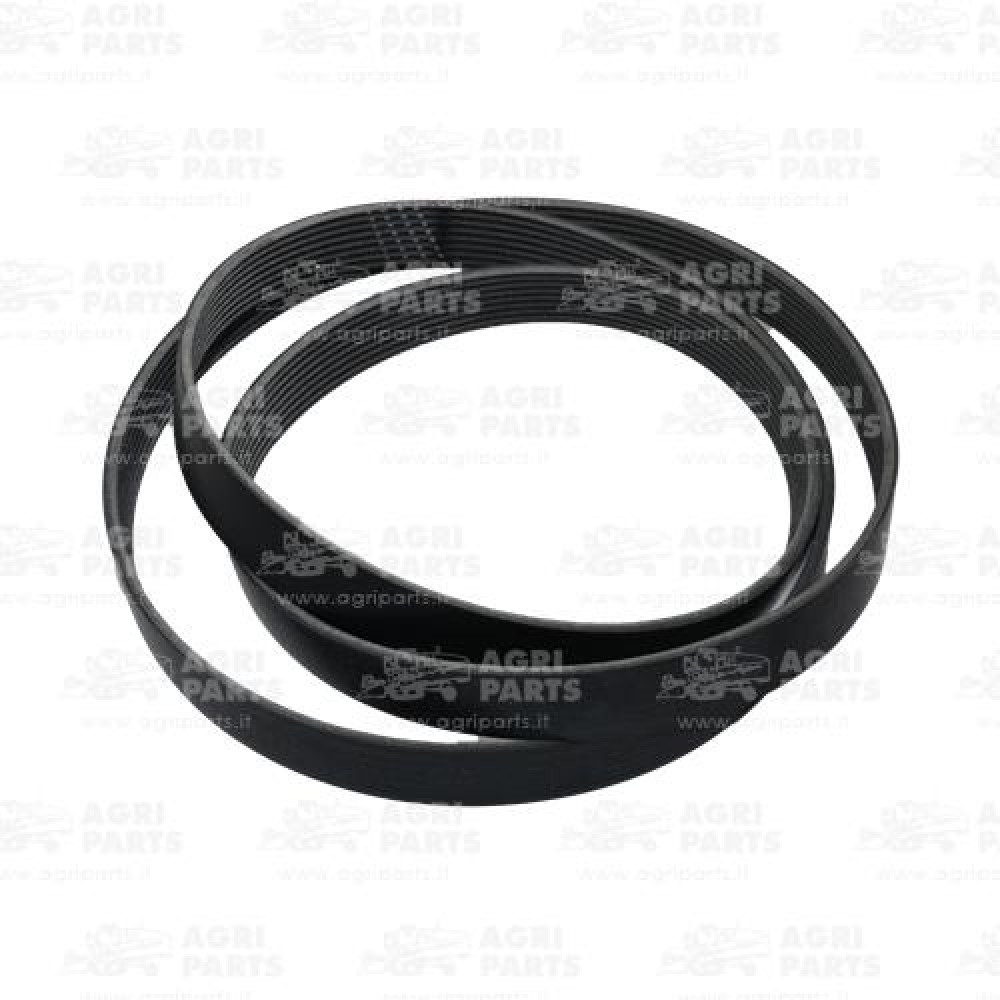 H238822 - CINGHIA - H238822JD