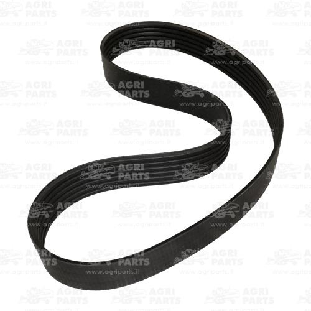 19AP013149 - MULTIPLE BELT - 19AP013149