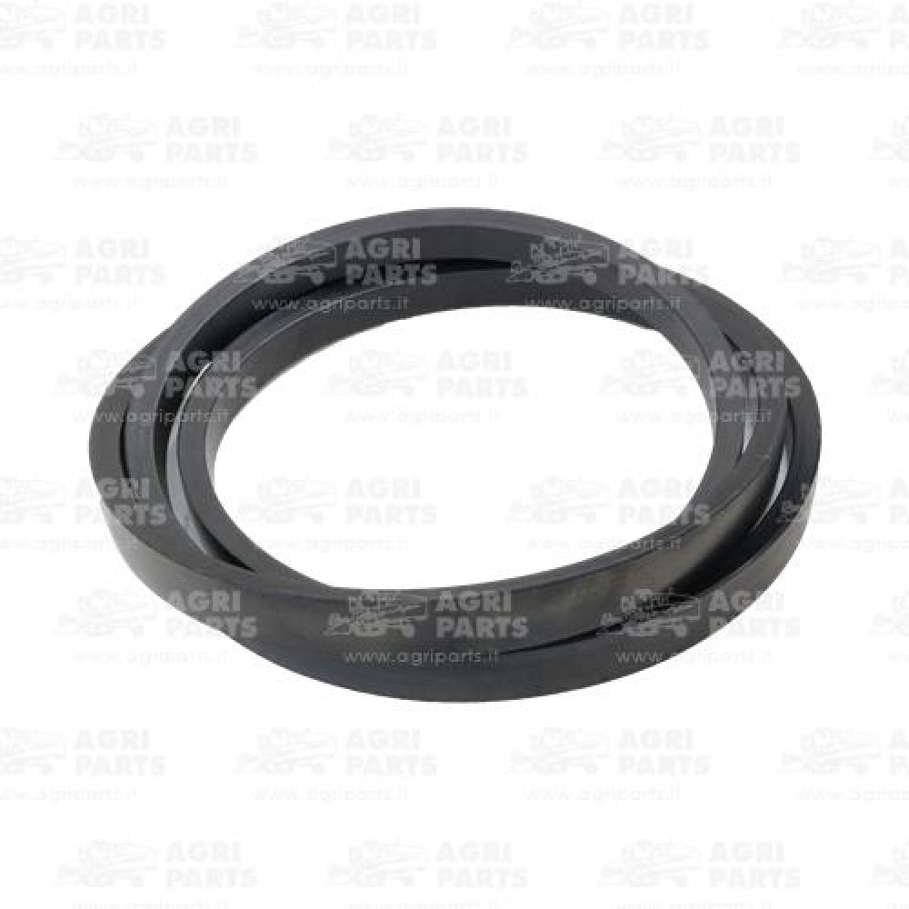 19AP013165 - RIEMEN - 19AP013165