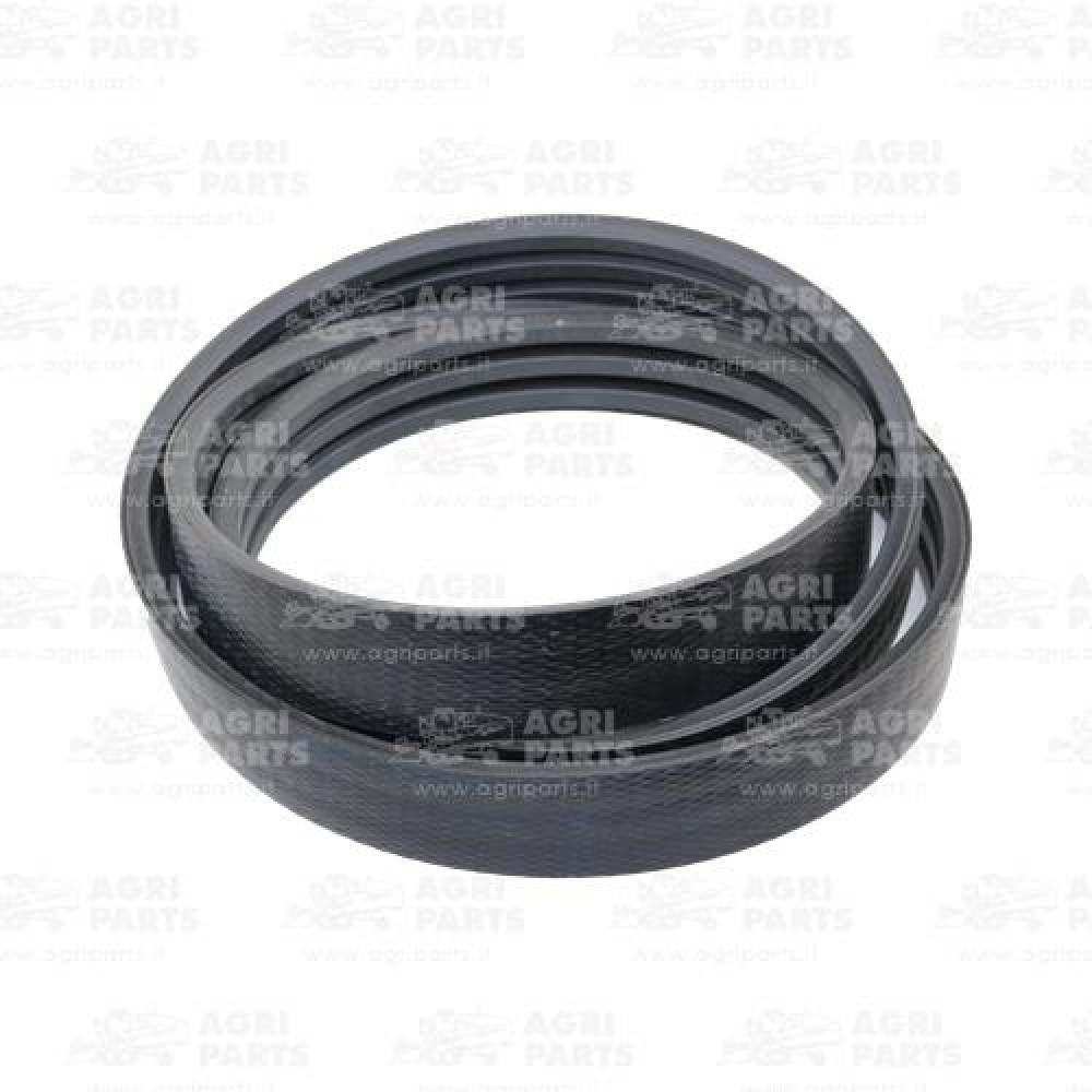 19AP013183 - CINGHIA - 19AP013183