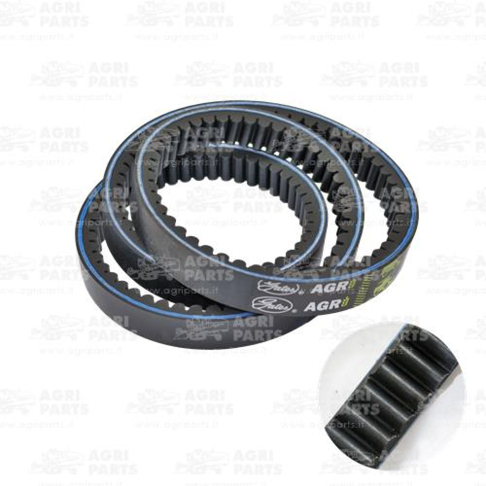 1145369 - CINGHIA - 01145369DF