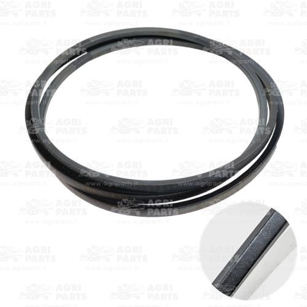 19AP013216 - CINGHIA - 19AP013216