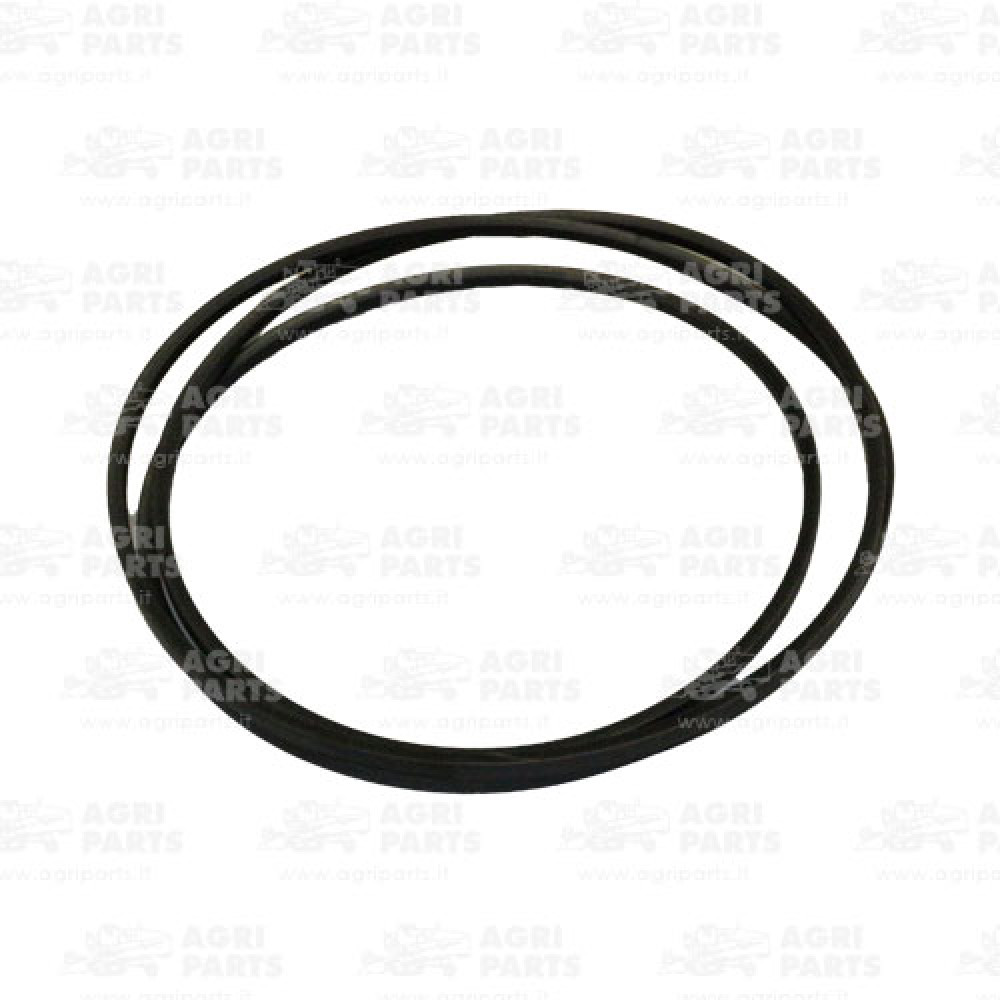 19AP013219 - CINGHIA - 19AP013219