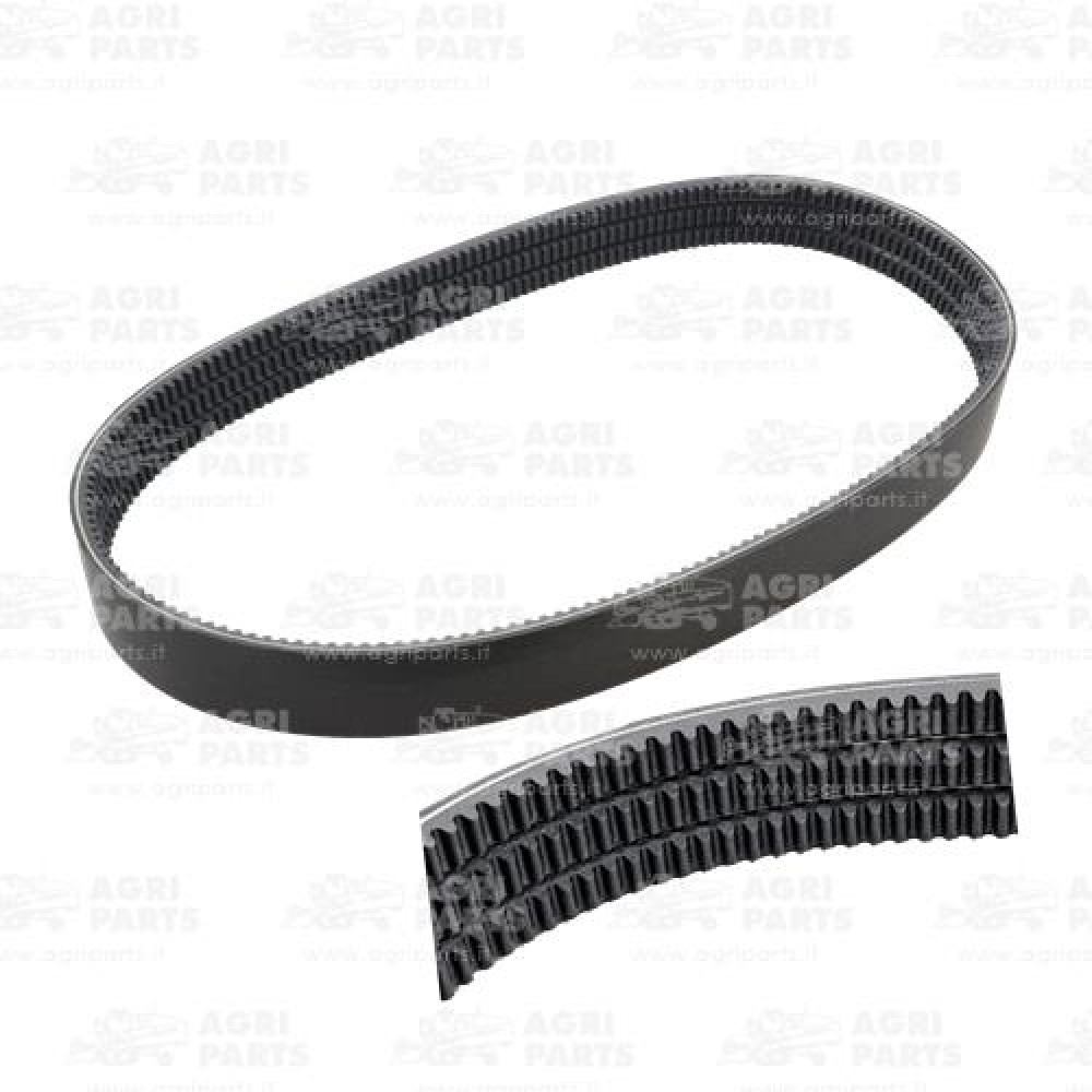 19AP013221 - BELT - 19AP013221
