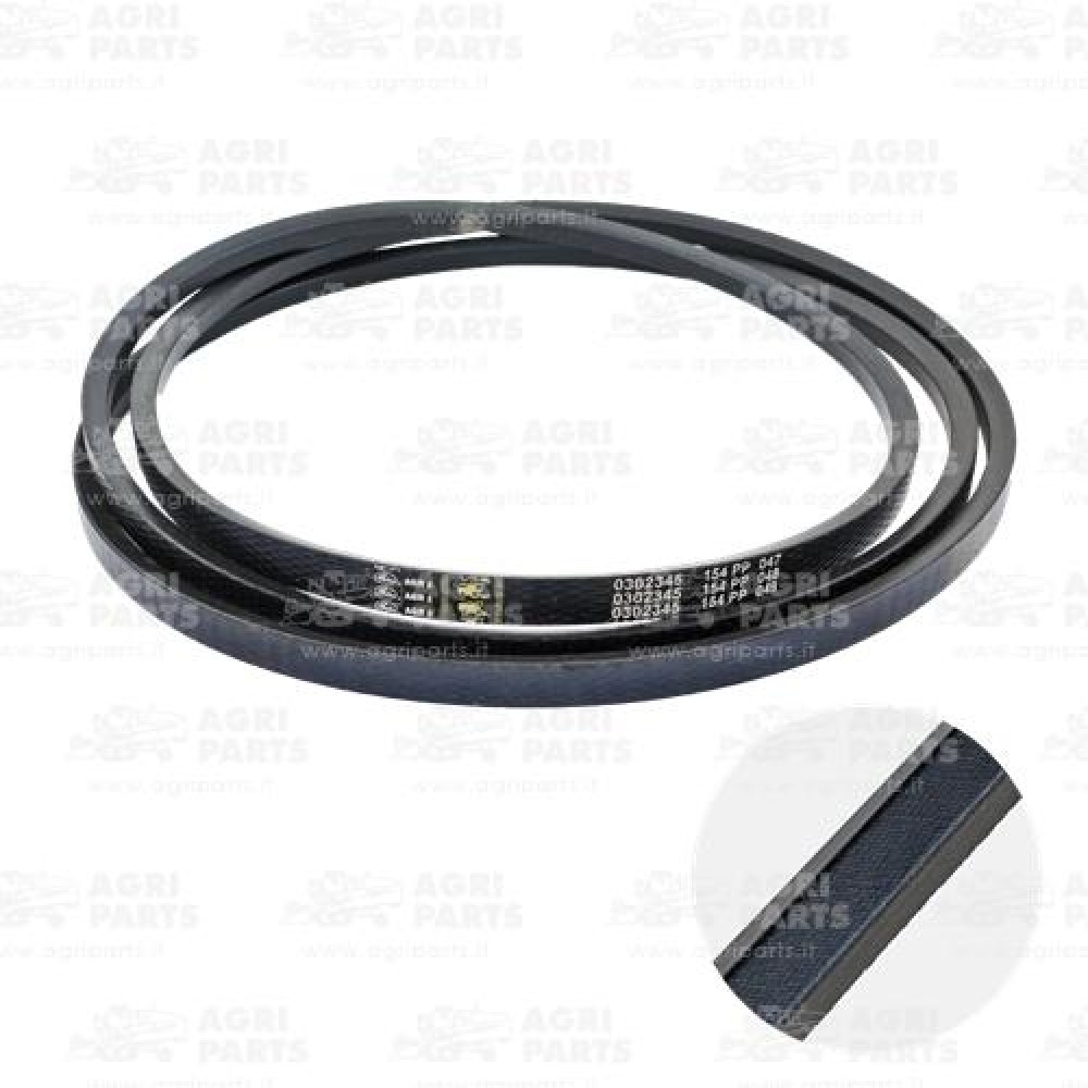 19AP013240 - CINGHIA - 19AP013240