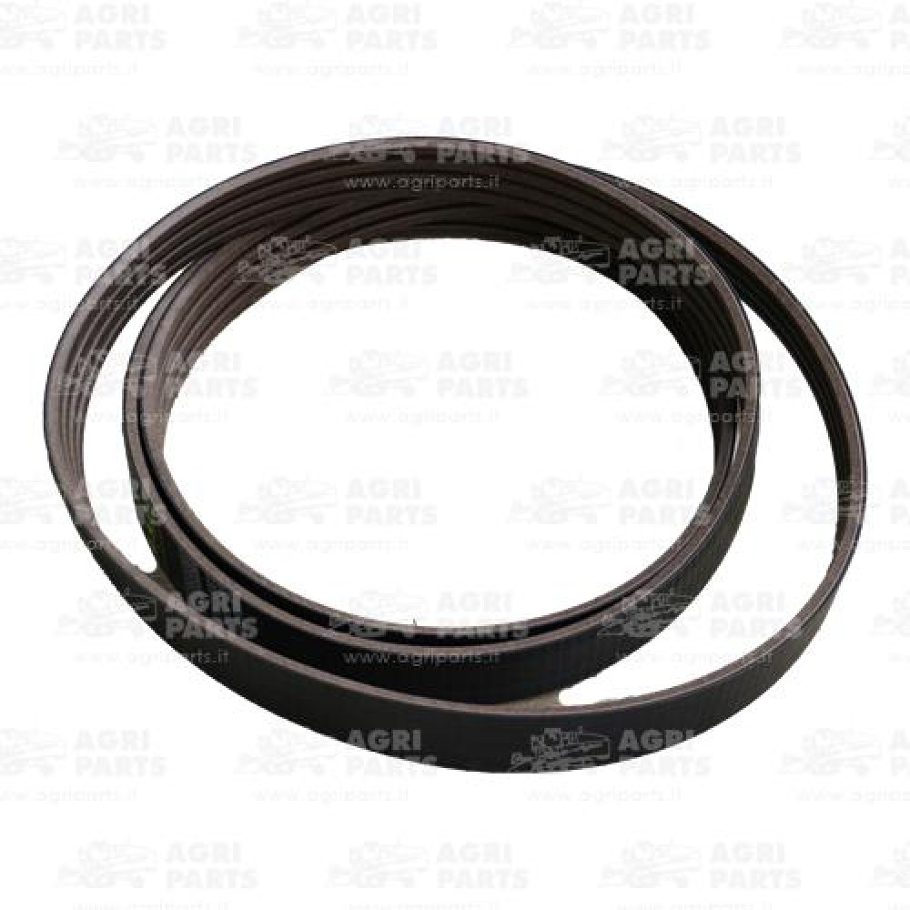 19AP013248 - BELT - 19AP013248