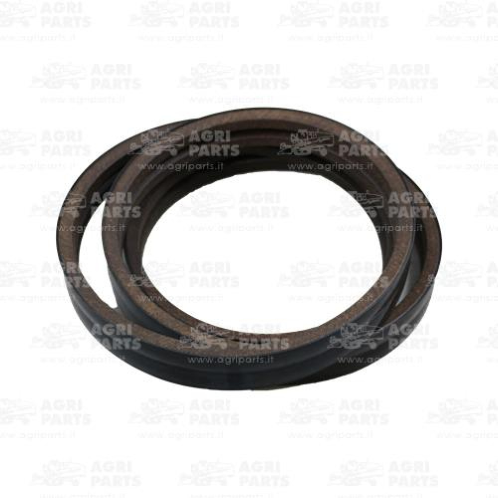 19AP013251 - BELT - 19AP013251