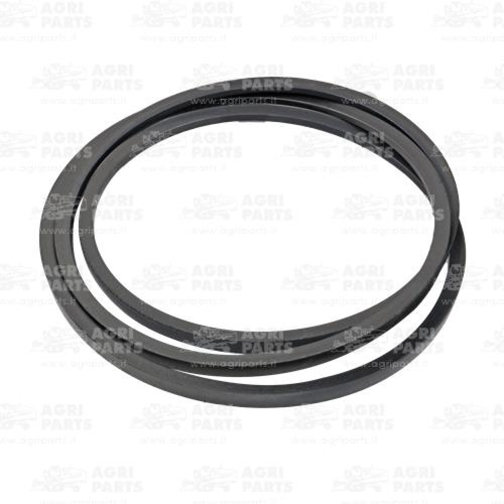 19AP013254 - CINGHIA - 19AP013254