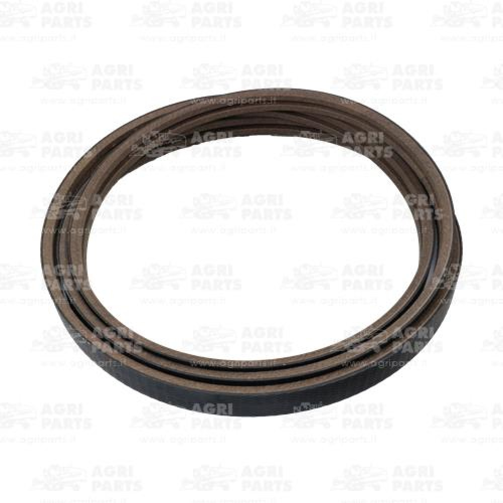 19AP013281 - BELT - 19AP013281