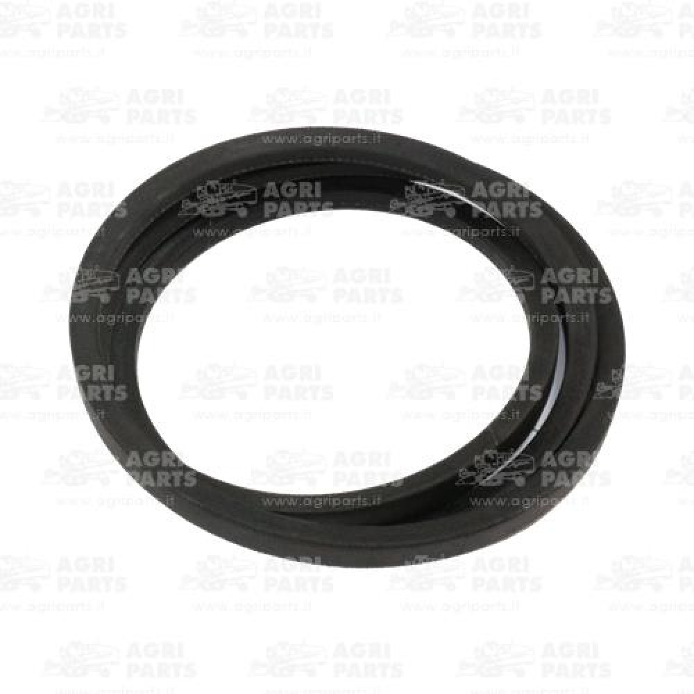 19AP013283 - CINGHIA - 19AP013283
