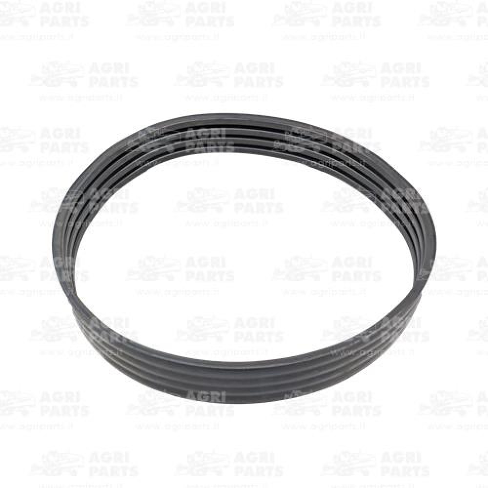 19AP013298 - RIEMEN - 19AP013298