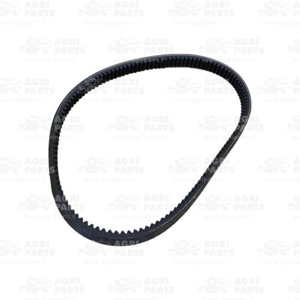 19AP013304 - CINGHIA - 19AP013304