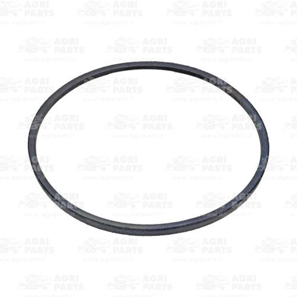 19AP013318 - CINGHIA - 19AP013318