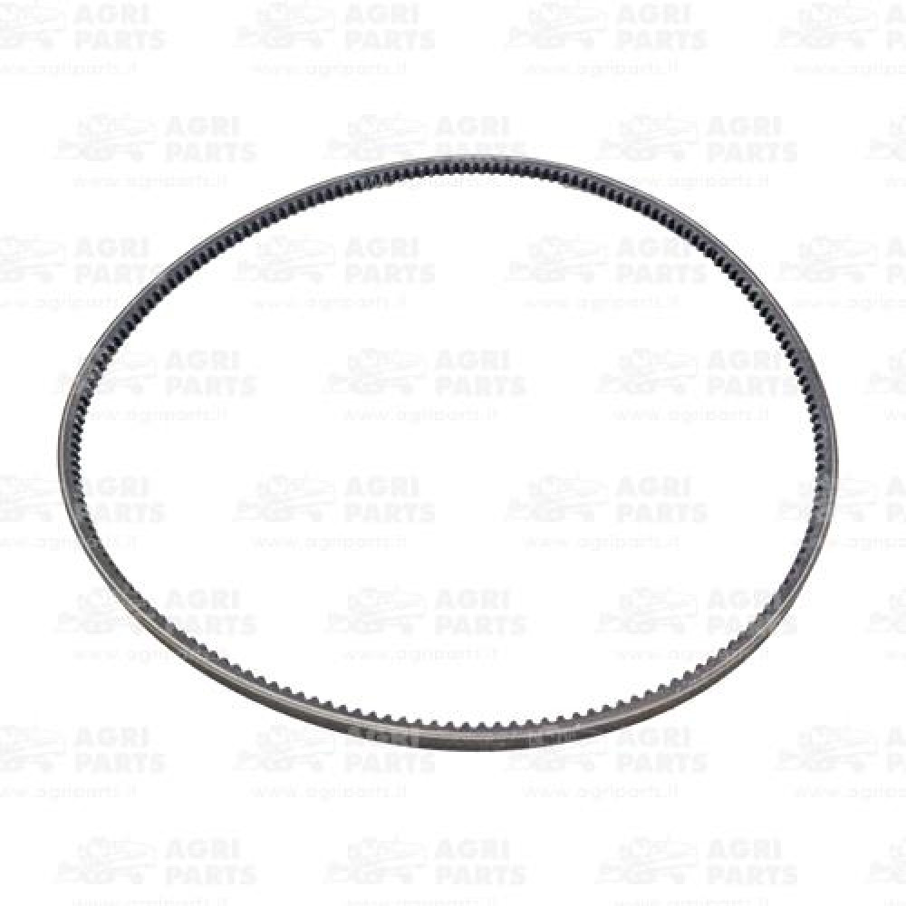 19AP013344 - CINGHIA - 19AP013344