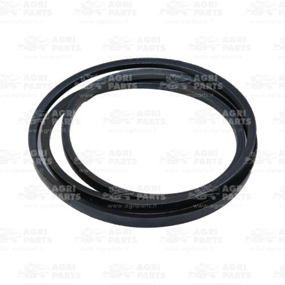 19AP013376 - CINGHIA - 19AP013376