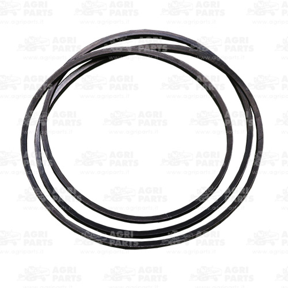 19AP013381 - CINGHIA - 19AP013381