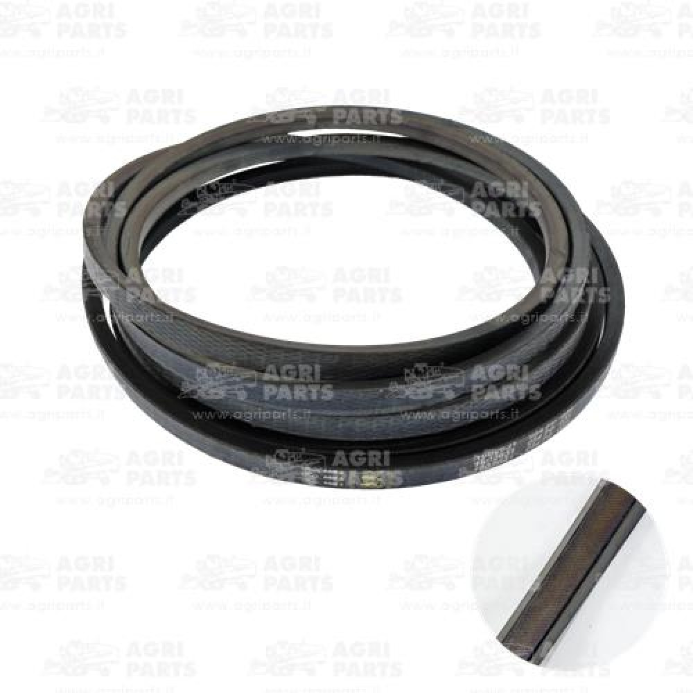 19AP013387 - RIEMEN - 19AP013387