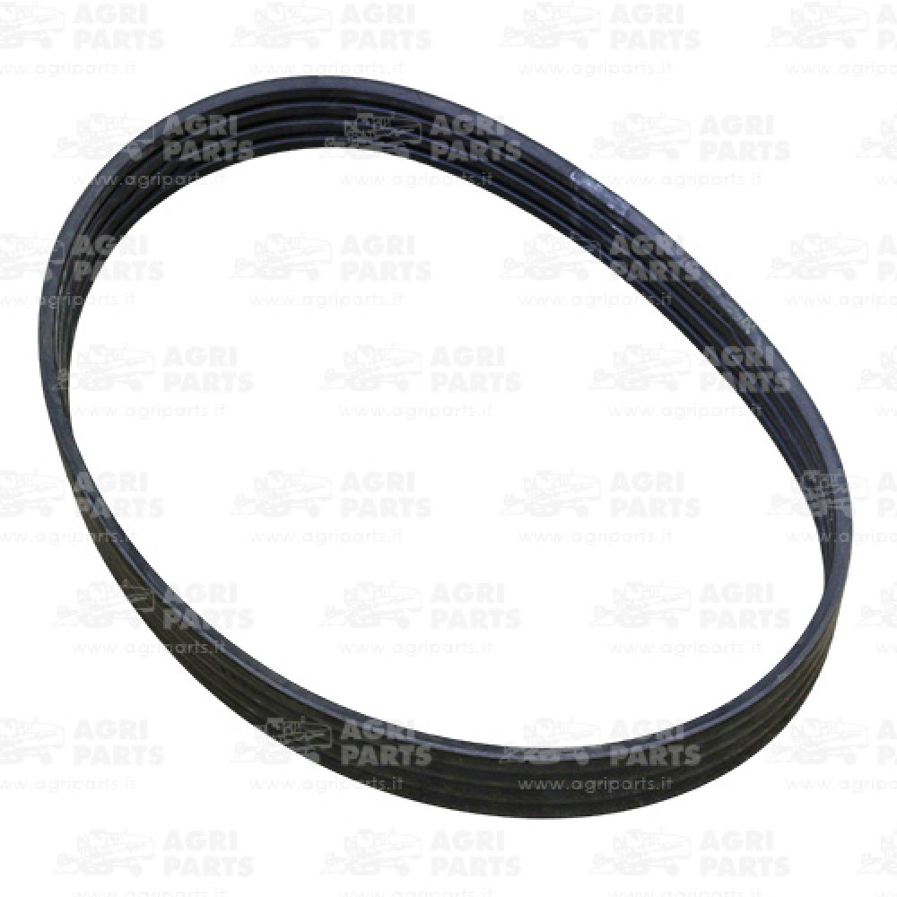 19AP013390 - CINGHIA - 19AP013390