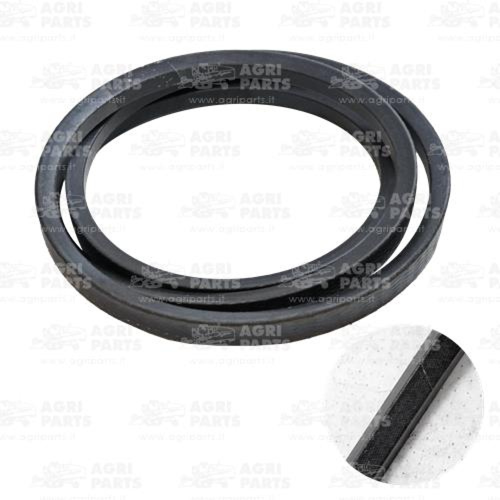 19AP013402 - BELT - 19AP013402