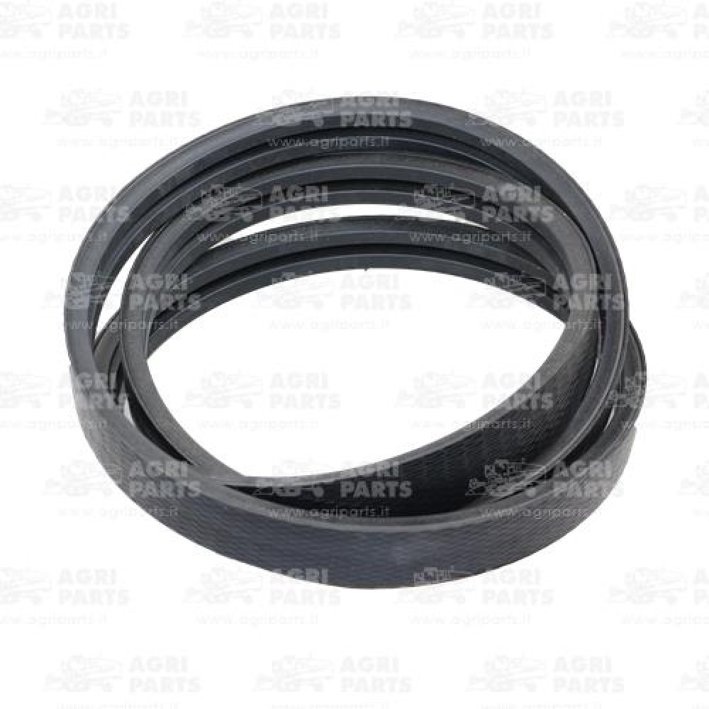 19AP013418 - CINGHIA (2HB) - 19AP013418