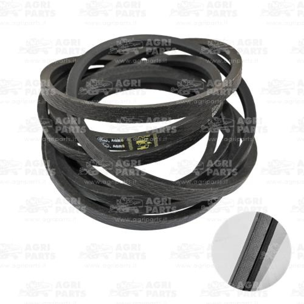 19AP013496 - CINGHIA - 19AP013496