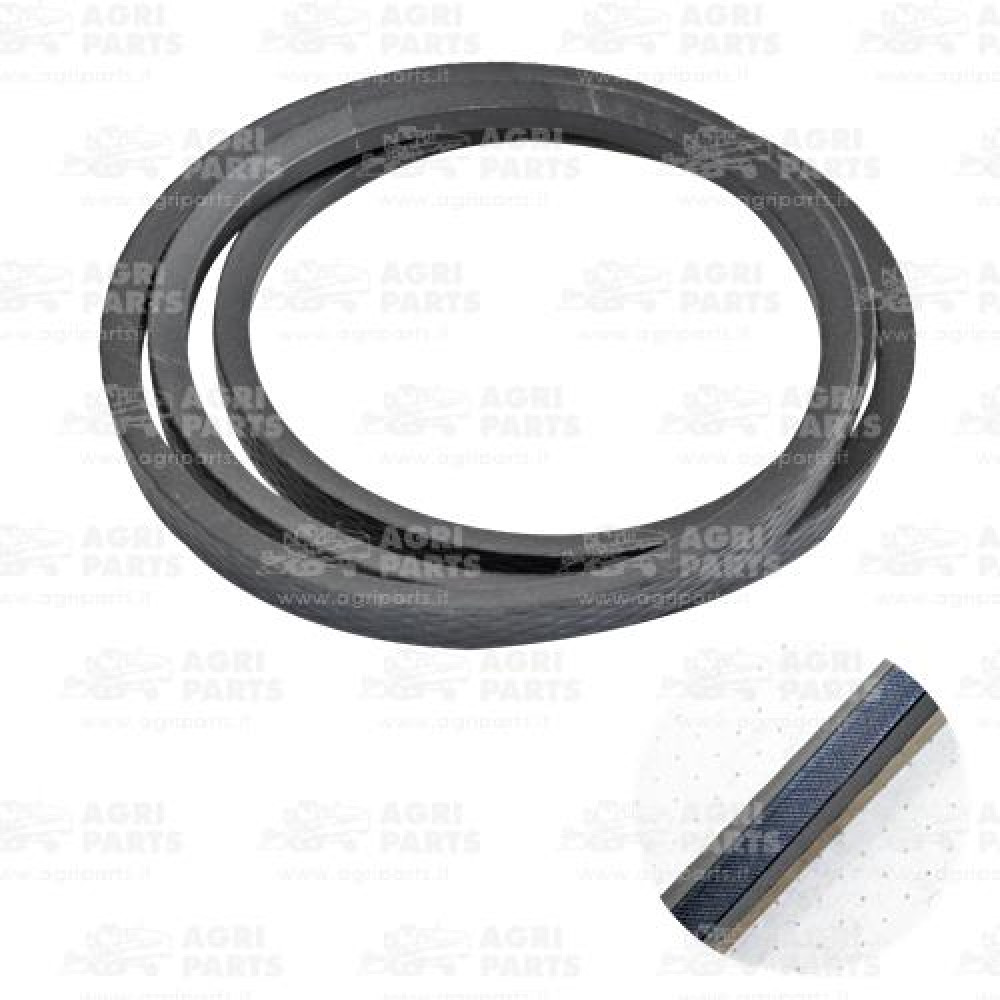 19AP013498 - RIEMEN - 19AP013498