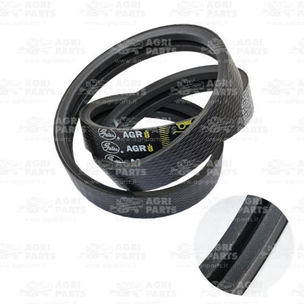 19AP013501 - BELT - 19AP013501