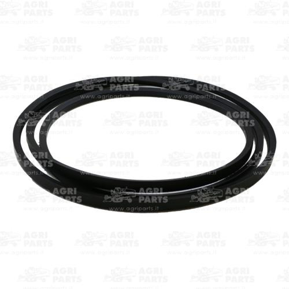 38357T1 - CORREA - 038357T1AG