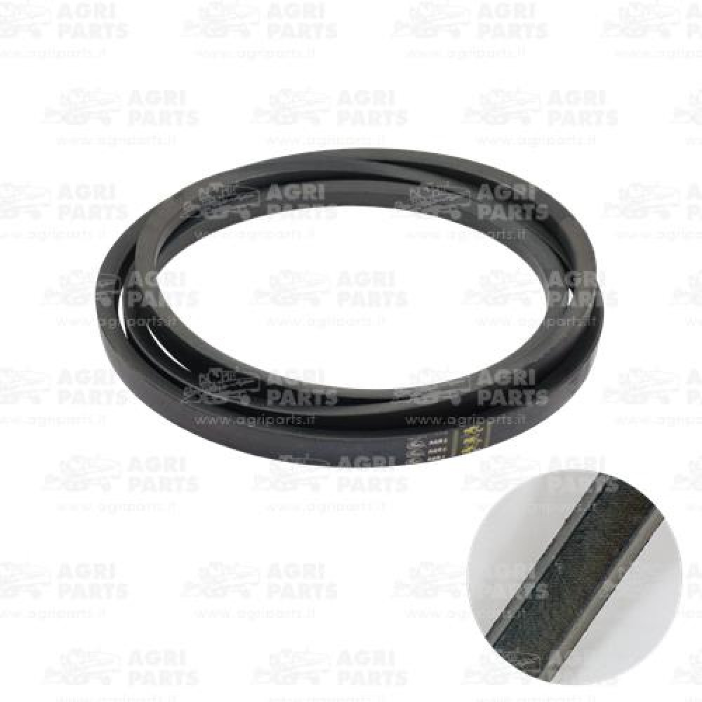 19AP013509 - BELT - 19AP013509