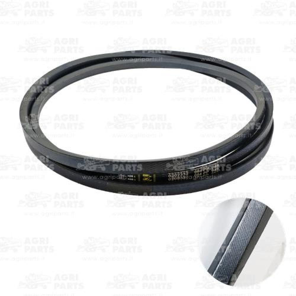 19AP013512 - CINGHIA - 19AP013512