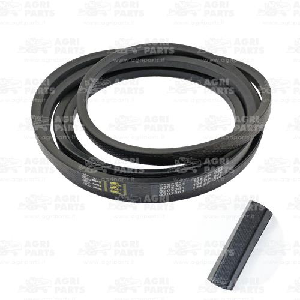 340433457 - RIEMEN - LA340433457AG