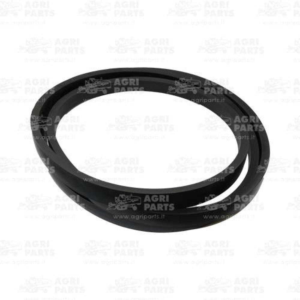 19AP013538 - CINGHIA - 19AP013538