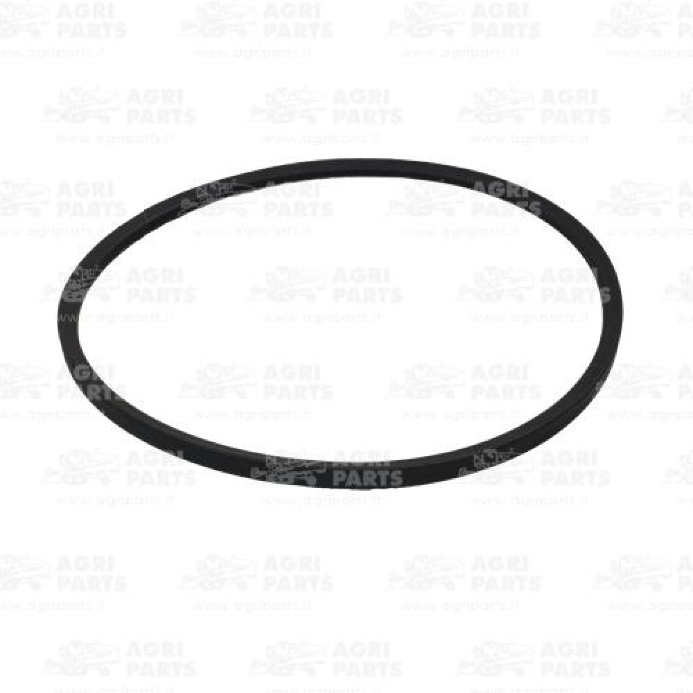 19AP013541 - CINGHIA - 19AP013541