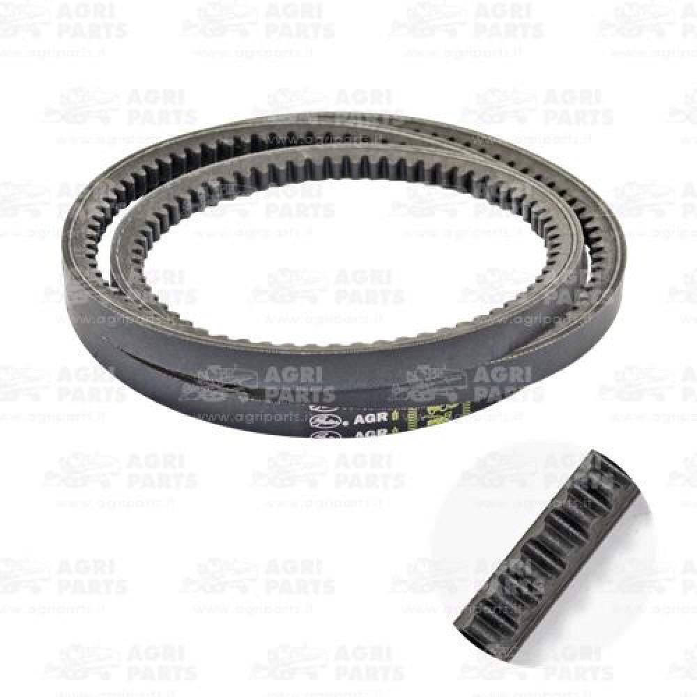 19AP013542 - RIEMEN - 19AP013542