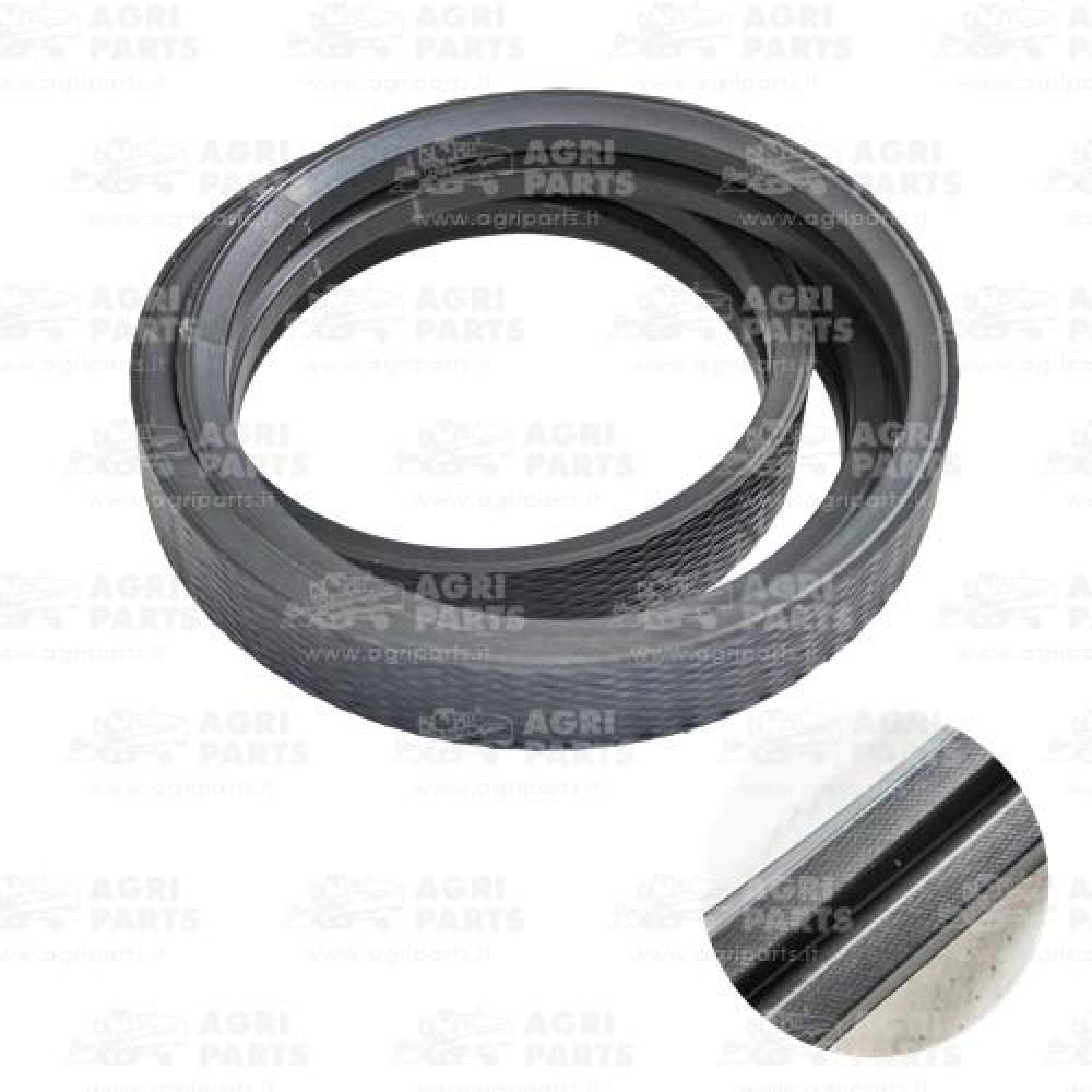 19AP013546 - CINGHIA - 19AP013546