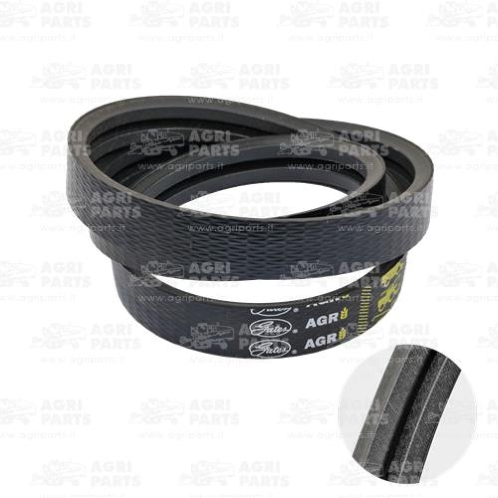 Z103845 - CINGHIA - Z103845JD