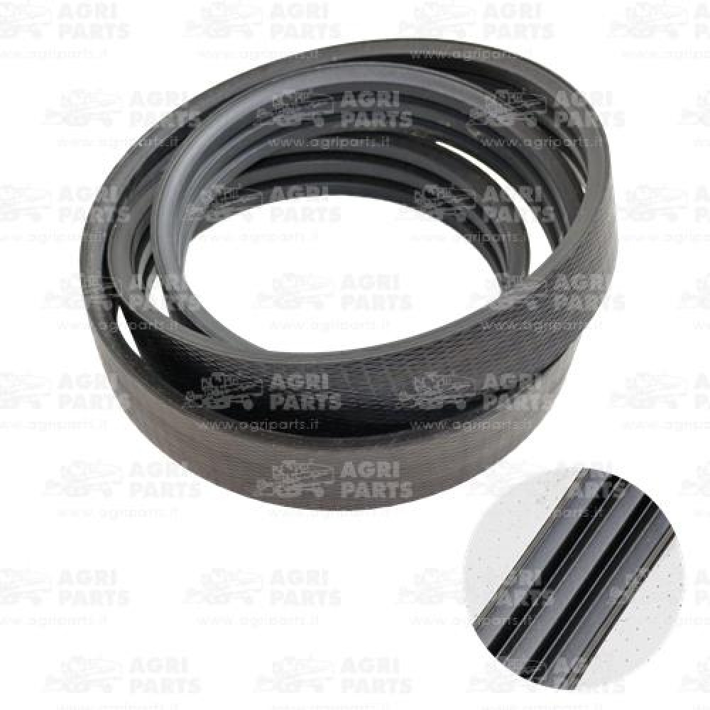 19AP013555 - CINGHIA - 19AP013555